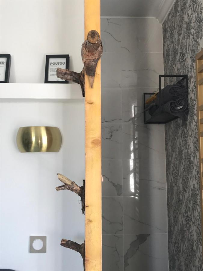 La Loge 45 Au Coeur Du Centre Historique De Rodez 아파트 외부 사진