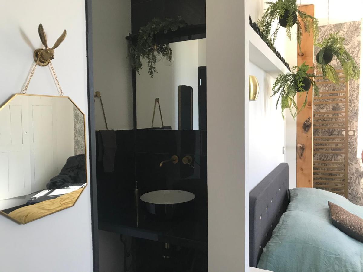 La Loge 45 Au Coeur Du Centre Historique De Rodez 아파트 외부 사진